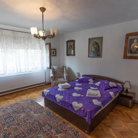 Doi Bujori Apartamento Alba Iulia Exterior foto