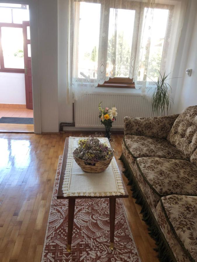 Doi Bujori Apartamento Alba Iulia Exterior foto