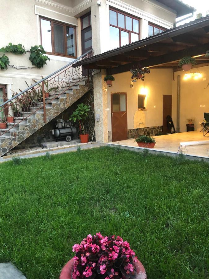 Doi Bujori Apartamento Alba Iulia Exterior foto