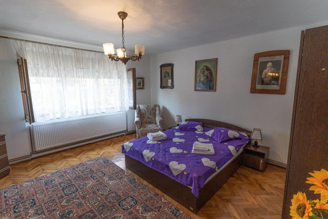 Doi Bujori Apartamento Alba Iulia Exterior foto