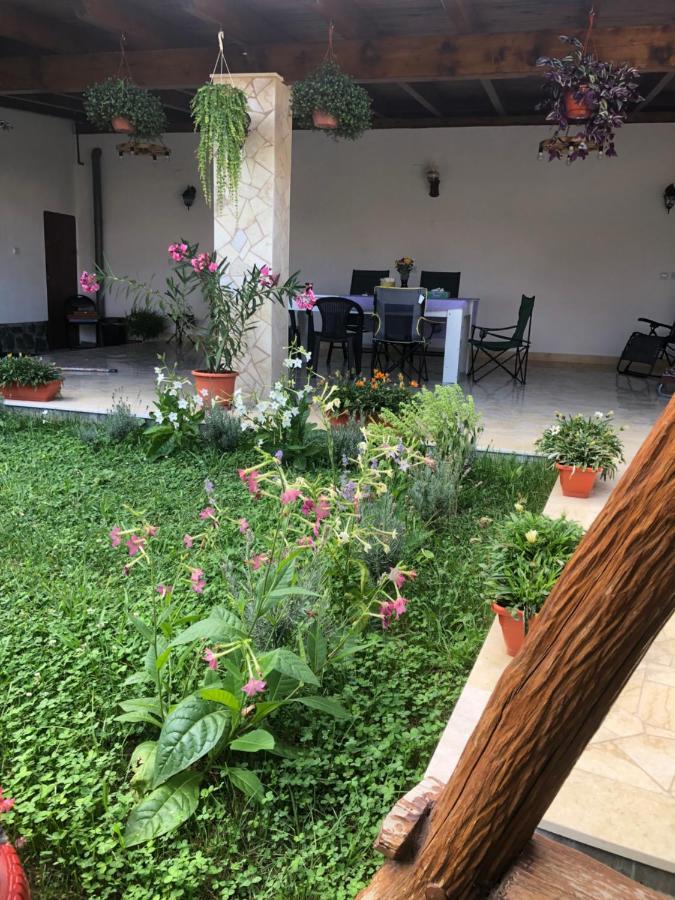 Doi Bujori Apartamento Alba Iulia Exterior foto