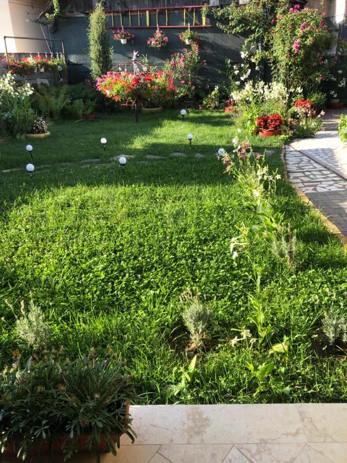 Doi Bujori Apartamento Alba Iulia Exterior foto